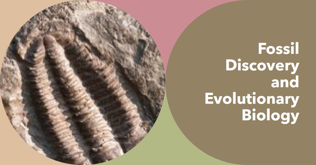 Fossil Discoveries Illuminate Evolutionary Biology Insights