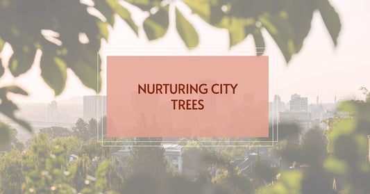 Nurturing City Trees for a Greener Tomorrow
