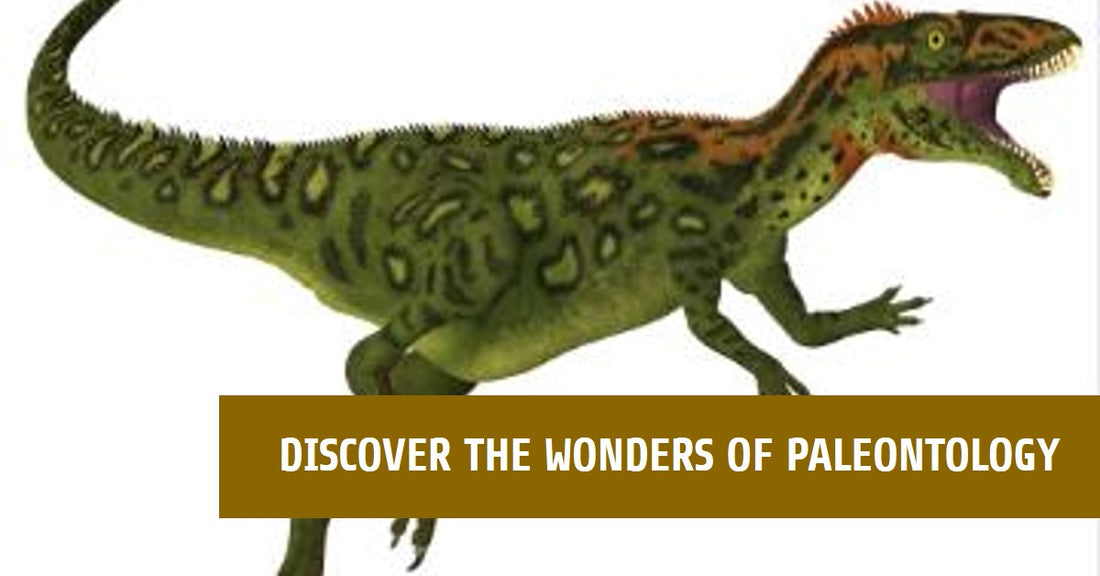 Paleontology 101: An Introduction to the Science of Ancient Life