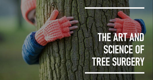 The Art and Science of Tree Surgery