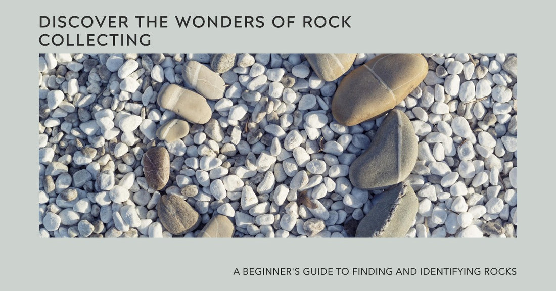 Unearth the Beauty A Comprehensive Guide to Rock Collecting