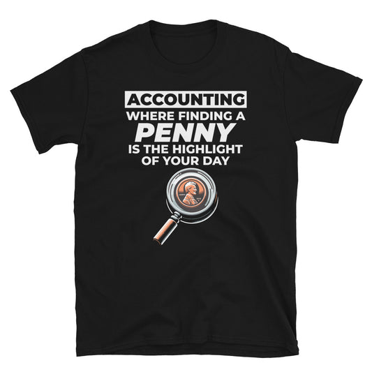 accountant t-shirts funny